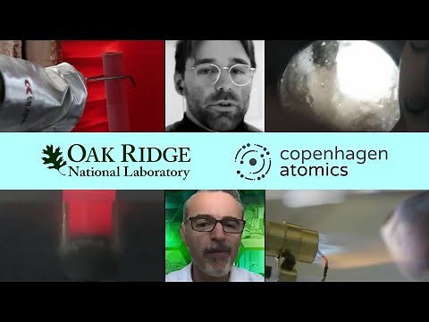 1MW Molten-Salt Test Reactor by Copenhagen Atomics - Aslak Stubsgaard @ ORNL MSRW 2020