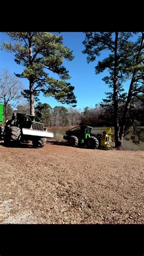 #logging on move boy’s 😎 | Logging Videos