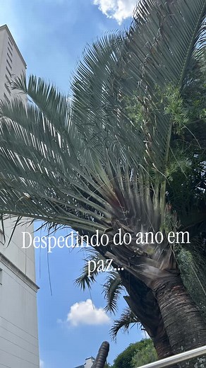 Adriana Kosuzi | Terapeuta Emocional e Educadora Parental on Instagram: "✨ Que o fim deste ano te encontre respirando mais devagar. O corpo solta o que pesou, a mente descansa e o coração se permite silêncio. À beira da piscina, a água reflete o céu e lembra que a vida também pede pausa. A natureza ao redor não apressa, não cobra, apenas existe — e isso já é suficiente. Que você possa fechar este ciclo com gratidão suave, sem julgamentos pelo que não foi, sem pressa pelo que ainda virá. Que a pa