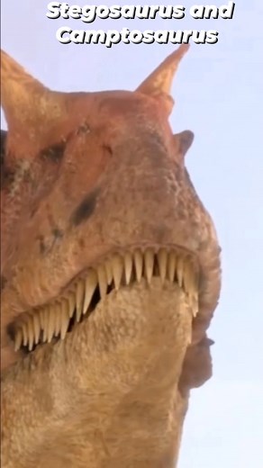 Stegosaurus and Camptosaurus were both herbivorous dinosaurs that lived during the late Jurassic period, often found together in the same herds in North America. Their relationship is theorized to be symbiotic: Camptosaurus acted as a lookout with its large eyes and superior senses, while Stegosaurus provided defense with its large size and tail spikes. | Ron Aldo