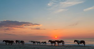 Get to Know America’s National Seashores