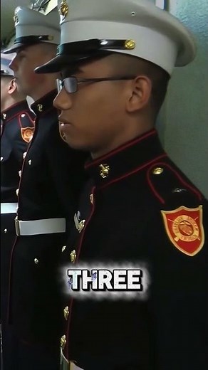 What Is the Rank Insignia of a Lieutenant General #usmc #marinecorps #usmarines #marines