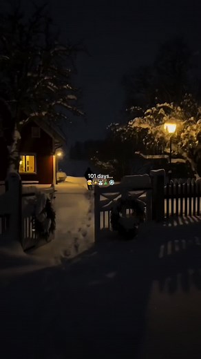 The best time of year! #christmas #snow #christmascountdown #snowing #christmastiktok #december #snowman #winterwonderland #christmaslights #christmasdecorations