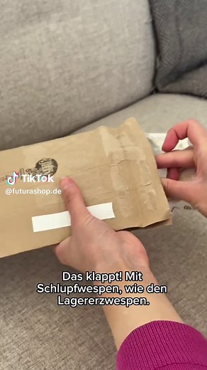 Effektive Bekämpfung von Käfern in der Wohnung