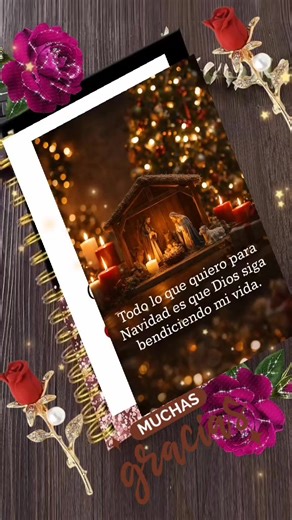 Video de carmen_6_9_9 (@carmen_6_9_9) relacionado con “feliz año nuevo 2026 para dedicar”