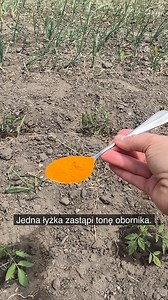 2.4M views · 8.9K reactions | Ta jedna łyżka zastąpi tonę obornika 﫢 | Sprytne Triki | Facebook