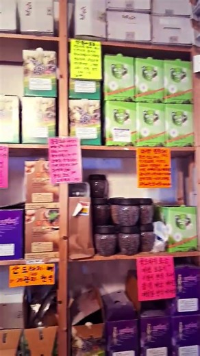 Capture the Moment/Jeongseon Medicinal Herbs #Heuksudol