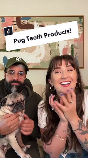 Pug Teeth Care: Products & Tips for Healthy Smiles