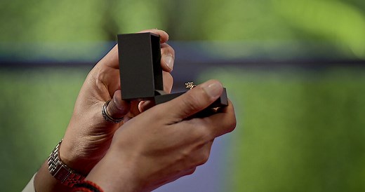 Meet the Cast of Love Is Blind Season 3