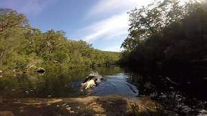 8.3K views · 129 reactions | So a couple of weeks back I posted a...