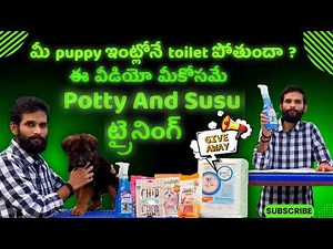Easy way to Potty Train your Puppy or Dog / how to train puppy potty outside / potty & susu training