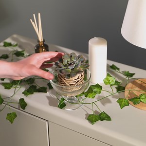 53K views · 114 reactions | Gardening Made Easy! Simple Steps to Create Your Own Zen Oasis | 5-Minute Crafts GIRLY | Facebook