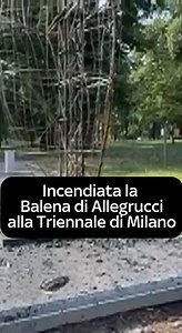 La Balena, l'installazione di Jacopo Allegrucci realizzata per la 24/a Esposizione internazionale di Triennale di Milano è stata data alle fiamme questa mattina. È stato individuato e preso in consegna dagli agenti della Questura di Milano il presunto piromane. L'uomo, la cui posizione è al vaglio degli investigatori, sarà probabilmente arrestato per incendio doloso. Il gigantesco cetaceo in cartapesta azzurra era stato realizzato per la mostra cominciata il 13 maggio. Sul posto sono intervenuti