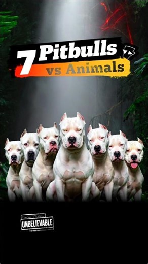 Dogo Argentino & Pitbull vs Lizard, Rabbit, Tiger & More 😱 | Who Can Survive? | Animal Comparison