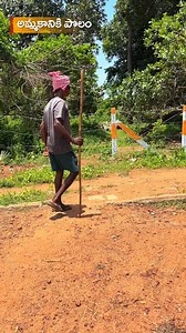 416K views · 4.8K reactions | 2 Acres Land for Sale – Ideal for...