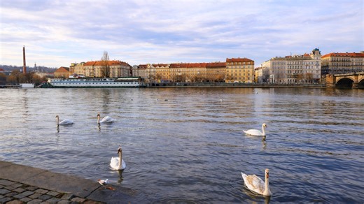 A quiet moment by the river in Prague