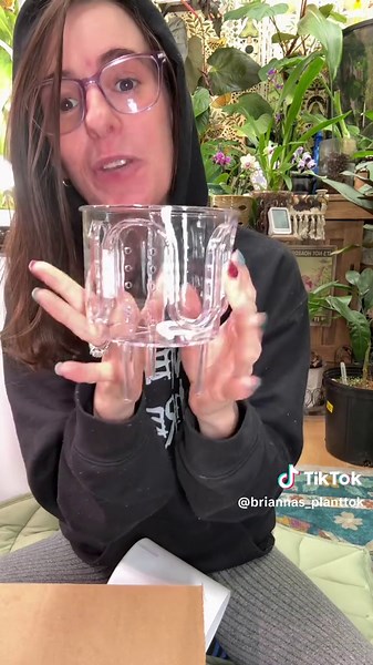 Self Watering Planters: Revolutionizing Plant Care