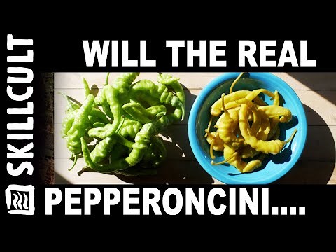 Authentic Pepperoncini, How To Make and Store All Year