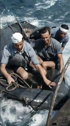 Rare WWII Kriegsmarine Footage Restored in 4K #ww2 #history