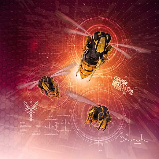 ¿Qué es un modelo 3D? Historia, función y más - VidaBytes