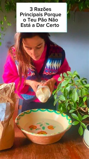 Francisca Fonseca on Instagram: "Se o teu pão não cresce, fica pesado, denso ou a côdea endurece, não te preocupes… já todos passámos por isso ! 😅 Muitas vezes, o problema está em três pontos-chave 1 - Massa-mãe / fermento • O fermento é o coração do pão. Se a massa-mãe não estiver ativa , forte e saudável já estamos a começar todo o processo com o pé errado 😬 é muito importante planear e deixar a massa mae pronta quando a queremos utilizar • alimenta a massa-mãe regularmente e deixa lá a temp