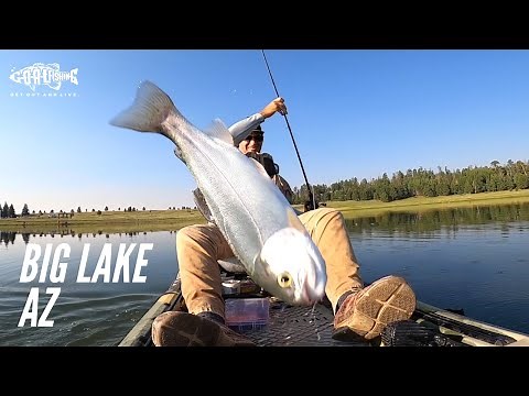 Fishing at Big Lake AZ