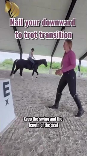 How To Make Your Canter to Trot Transition Smoother! #canter #transitions #dressagetips #dressage