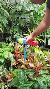 Watering System How to Fix PVC pipe Low Water Pressure #shorts