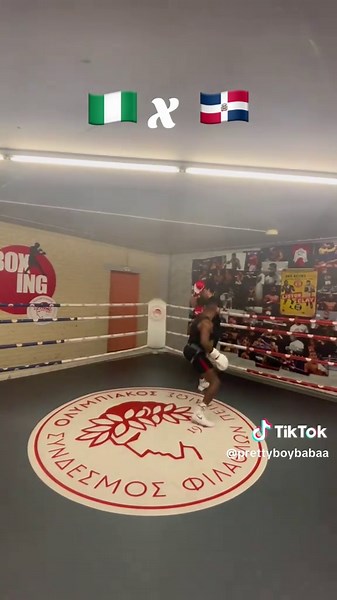 Boxers are fighters who can dance🦅