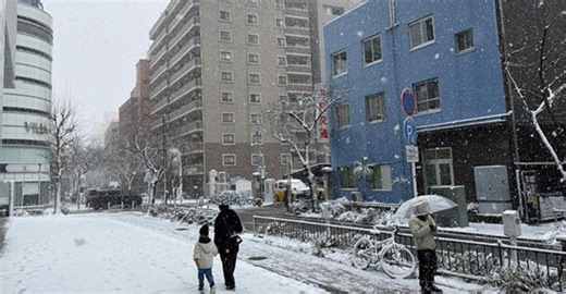 神奈川県西部に大雪警報 横浜、川崎などに大雪注意報 横浜で積雪２センチ 動画 | カナロコ by 神奈川新聞