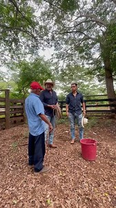 Trabajando ganado con Mechito #model #fblifestyle | Belleza Fanpage