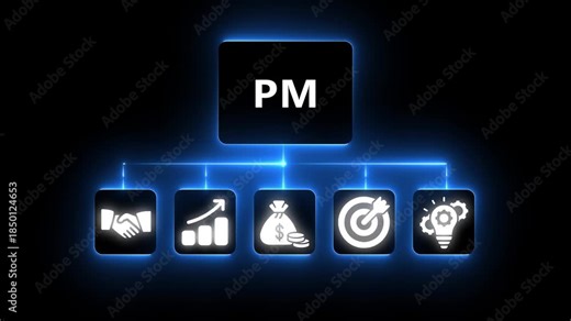 Project Manager PM Icons with Partnership Growth Money Target and Idea Symbols project management planning