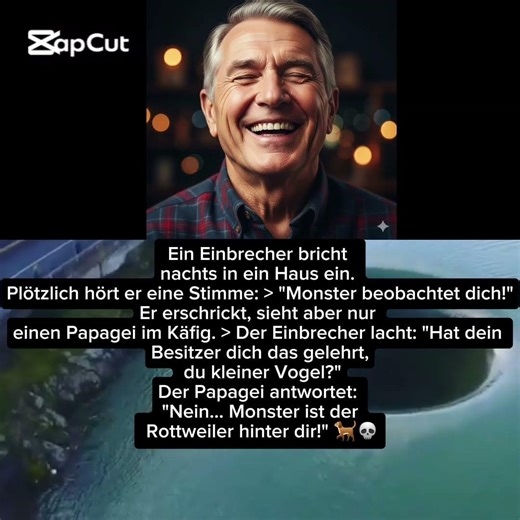 Wrong house, buddy! 🏠🚫 #shorts #funny #dog