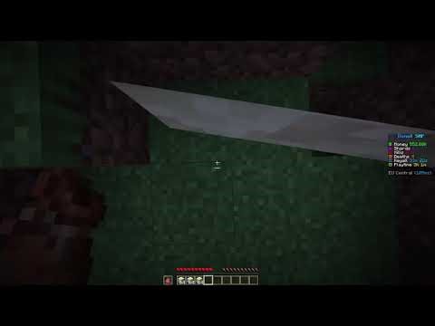 BEST BEST BEST BEST BRAND NEW DONUTSMP BUNDLE DUPE