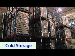 Naturipe Farms - Blueberry Harvesting Process