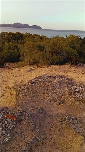 QRP en la playa de Son Bauló -Can Picafort - Mallorca