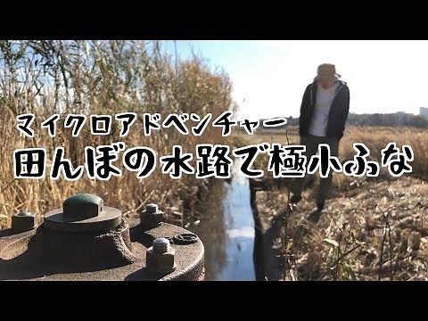 小物釣り 極小フナ編 micro fishing