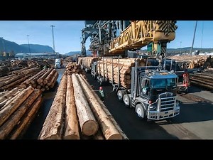 Massive Logging Equipment Working Hard | Forest to Sawmill | Hauling & Processing Compilation 2025