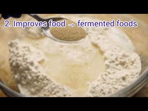 "Importance and History of Microbiology | Beginners Guide" Microbiohub |