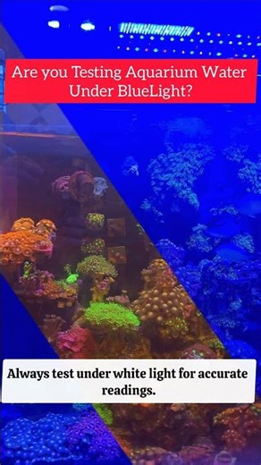 STOP Testing Aquarium Water Like This ❌