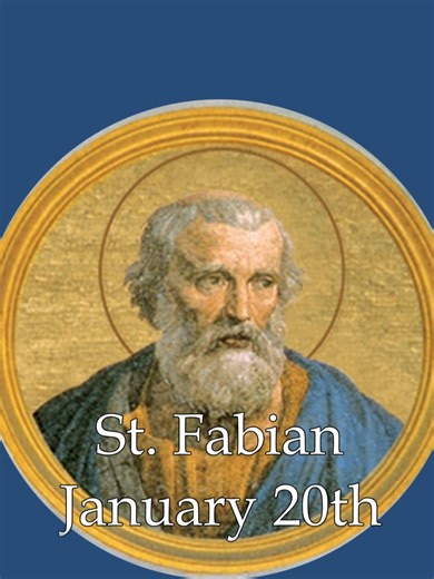 St. Fabian, an early Pope and martyr, is primarily venerated as a patron saint of Rome, known for his strong administration, organizing the early church, and courageous defense of faith leading to his martyrdom, making him a patron for those facing persecution or seeking guidance for the Church. While not having a single official patronage, he's invoked for protection against persecution, guidance for popes, and is associated with the peaceful expansion of the Church. O St. Fabian, steadfast gui