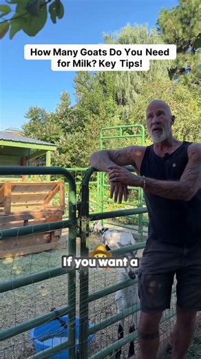 28K views · 660 reactions | Thinking about getting a dairy goat? 拏 Marc Warnke, the Goat Guy, breaks down how much milk you can expect from different breeds, why running at least two goats is best, and how production changes over time. | packgoats.com | Facebook
