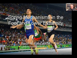 Spring Mechanisms in the Foot and Lower Extremity