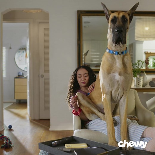 From thousands of pet faves to helpful services, the Chewy app makes it easy to find everything for your pet. Download today. | Chewy