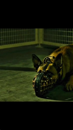 #truefact #movieexplain #definemovie