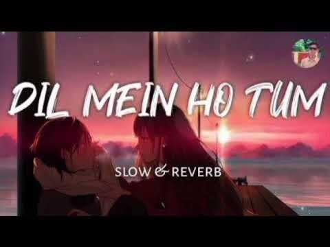 Dil Mein Ho Tum || SLOWED+REVERB || Bollywood songs || Hindi songs || Most Emotional Songs