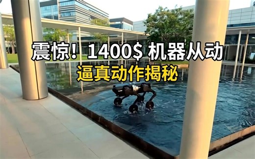 【中字】海外博主揭秘1400美元人形机器人，逼真动作引工程师震惊
