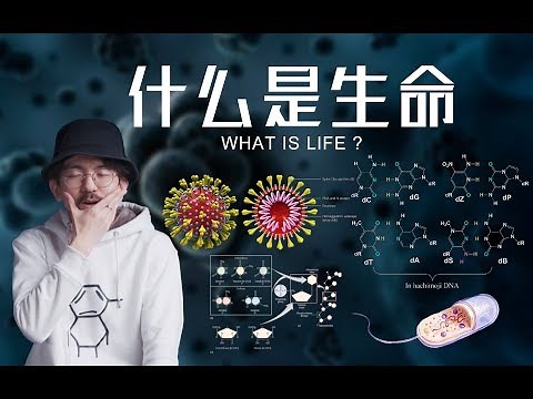 人类和病毒谁才是进化的顶峰？带你重新理解生命 What is life？