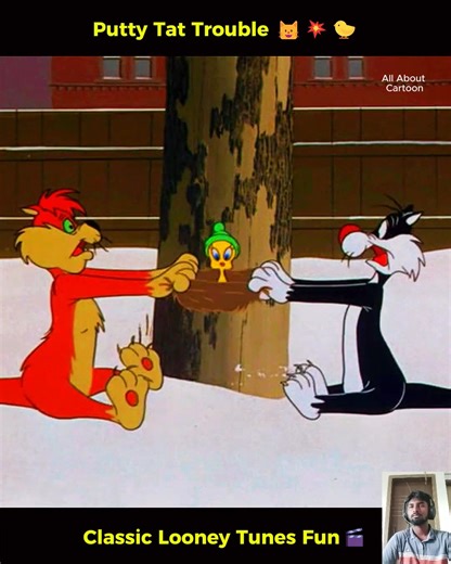 110K views · 4.3K reactions | Putty Tat Trouble  Sylvester’s Double Trouble Chasing Tweety! Looney Tunes Classic | All About Cartoon | Facebook
