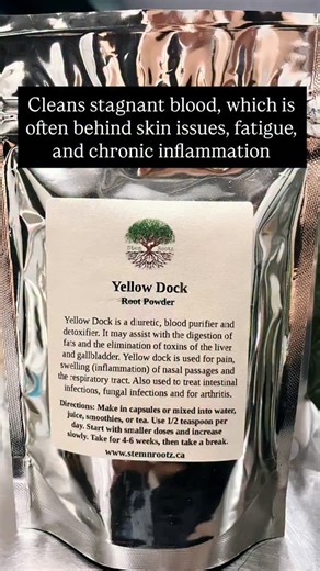 15 reactions | Yellow dock is a quiet but powerful healer, especially...